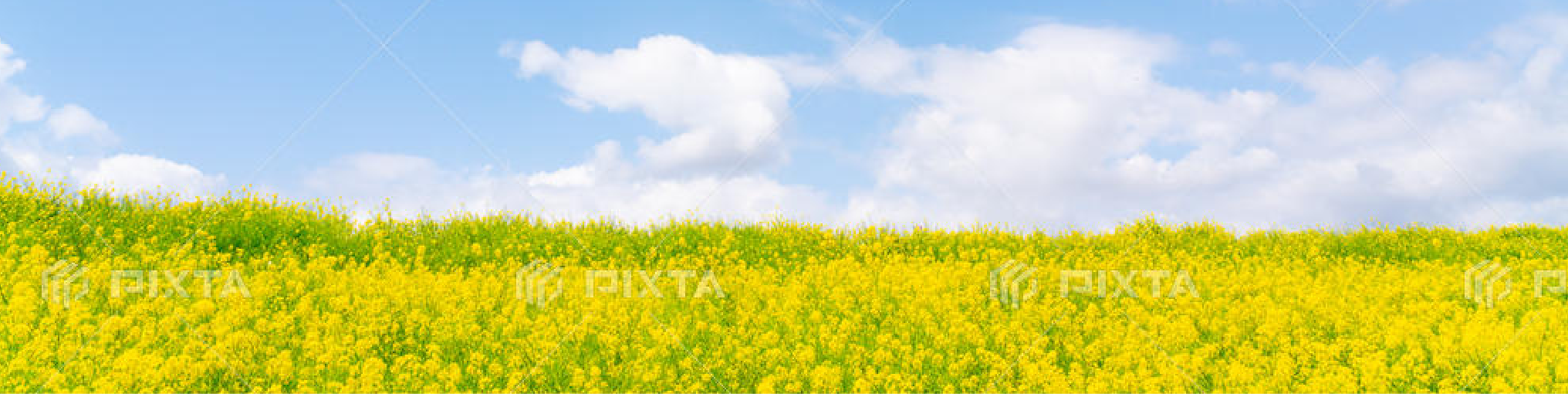 菜種油入変圧器